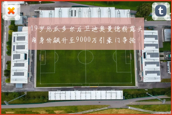 19岁厄瓜多尔后卫迪奥曼德崭露头角身价飙升至9000万引豪门争抢